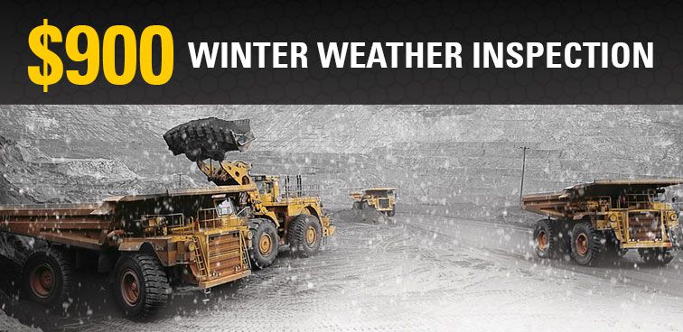$900 Winter Weather Inspection